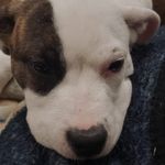 Tony Biggs - @tony.biggs.798 - Instagram
