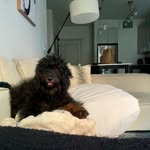 Montana’s World - @tonybillymontana - Instagram