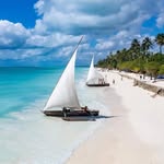 Tony_tours & safari - @tonyblairgalus - Instagram