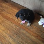 Tony Bolinger - @tonybolinger - Instagram