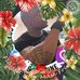 Tony Booker - Facebook