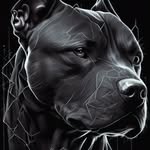 Tony Bottazzi - @tony.bottazzi - Instagram