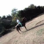 Tony Bottone - @tony.bottone.90 - Instagram