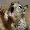 tonyboTT - @tonybott - TikTok