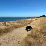 Tony Bratton - @brattman58 - Instagram