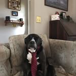 Tony Breen - @tonybreen0134 - Instagram