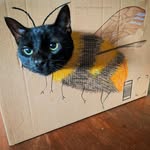 Tony Day - @tony_bridge_day - Instagram