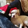 Tony Bryan - @tony.bryan29 - TikTok