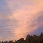 Tony Burris - @tony.burris.94 - Instagram