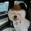 Tony - @tonybuzbee1 - TikTok