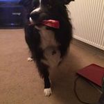 Tony Byram - @tony.byram - Instagram