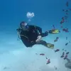 Toni Cacciatore - @toni.cacciatore - TikTok
