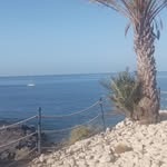 Antonio Carollo - @tony.carollo43 - Instagram