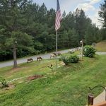 Tony Cartwright - @tonyc1956 - Instagram