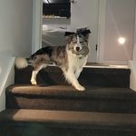 Tony Cartwright - @tonycartwright99 - Instagram