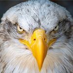 Tony Casanova - @tony.casanova.503 - Instagram