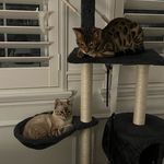 Tony&Casper - @chroniclesoftonyandcasper - Instagram