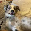 Tonya Cheek - @tonya.cheek7 - TikTok