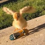 @_tony_chick - Instagram