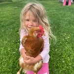 Tony Morgan chickens and livestock - @tonymorganchickensandlivestock - Instagram