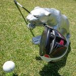 Tony chien - @chien.tony - Instagram