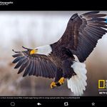 Tony Chien - @kuotienchien - Instagram