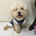 Tony Choo - Facebook
