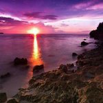 Tony Choo - @chootony - Instagram