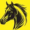 TONY CHUC - @tony.chuc - TikTok