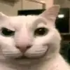 Tony Chuck - @tonychuck1 - TikTok
