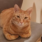 Tony Chuck - @tony.chuck.3956 - Instagram