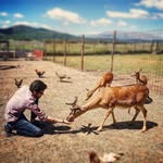 Tony Cicio - @tony_cicio - Instagram