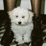 Tony Cipolla - @mr.bubbalubba - Instagram