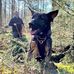 Tony Clegg - Facebook