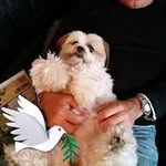 Tony Coates - @tony.coates.319 - Instagram