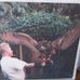 Tony Coles - Facebook