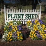 Tony Coles - @plantshedvb - Instagram