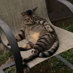 Tony Correll - @tony_the_chunkabutt - Instagram