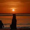 Tony 🇵🇭🐕‍🦺🐾 - @tony_canecorso - TikTok