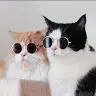 Tony Cottrell - @31681249945 - TikTok