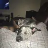 Tony Counts - @tonynot1620 - TikTok
