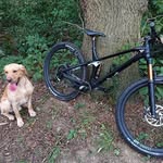 Tony Crowe - @tonycrowe5 - Instagram
