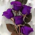 Tonya Darden - Facebook