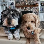 Tony Davison - @tonydavison80 - Instagram