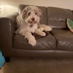 Tony Dawson - @tonydawson989 - Instagram
