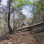 Antonio De Anda Villar - @tony_deanda - Instagram