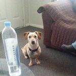Tony decker - @tonydecker6 - Instagram