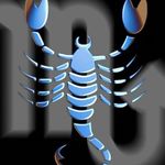 Tony Decker - @tony.decker3 - Instagram