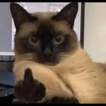 Tony Decker - @tonydecker069 - Instagram