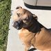 Tony Devito - Facebook